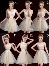 Exquisite Champagne A-line Lace and Appliques and Belt Dama Dress for Quinceanera Lace Up Organza Sleeveless Mini Length