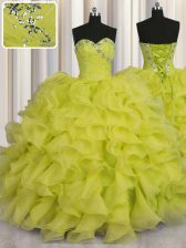  Organza Sleeveless Floor Length 15th Birthday Dress and Beading and Ruffles