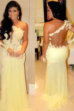Fancy One Shoulder Long Sleeves Side Zipper Floor Length Lace 