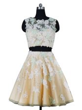  A-line Homecoming Dress Champagne Scoop Organza Sleeveless Knee Length Zipper