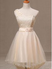 One Shoulder Champagne Lace Up Prom Gown Lace and Pleated and Hand Made Flower Sleeveless Knee Length