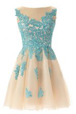  Champagne Zipper Prom Party Dress Appliques Sleeveless Mini Length