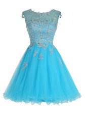 Smart Baby Blue A-line Organza Scoop Sleeveless Beading and Appliques Mini Length Zipper Prom Dresses