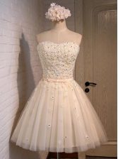  Mini Length Champagne Prom Dress Organza Sleeveless Appliques