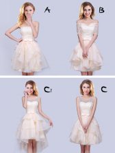 Amazing Mini Length A-line Sleeveless Champagne Quinceanera Court Dresses Lace Up