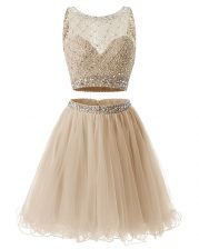 Graceful A-line Champagne Sweetheart Organza Sleeveless Mini Length Side Zipper