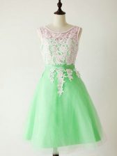  Knee Length A-line Sleeveless Apple Green Damas Dress Lace Up