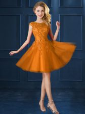 High Class Tulle Bateau Cap Sleeves Lace Up Lace and Belt Quinceanera Court of Honor Dress in Gold
