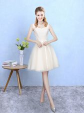Beautiful Square Sleeveless Damas Dress Knee Length Lace Champagne Tulle