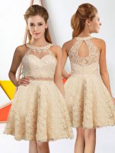 Artistic Champagne Lace Zipper Dama Dress Sleeveless Knee Length Lace