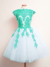 Beautiful Sleeveless Lace Up Mini Length Appliques Vestidos de Damas