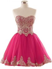 Trendy Hot Pink A-line Appliques Homecoming Dress Lace Up Tulle Sleeveless Mini Length