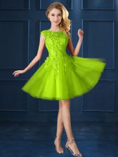 Modest Yellow Green Cap Sleeves Tulle Lace Up Quinceanera Court of Honor Dress for Prom and Party