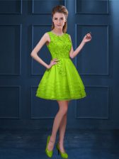 Fantastic Green Scoop Zipper Lace and Ruffled Layers Quinceanera Dama Dress Sleeveless