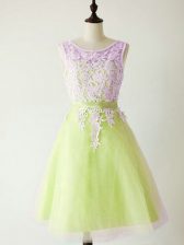 Delicate Yellow Green Lace Up Scoop Lace Quinceanera Court of Honor Dress Tulle Sleeveless