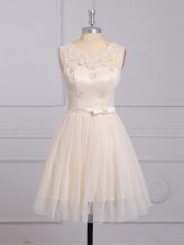 Clearance Champagne Court Dresses for Sweet 16 Prom and Party and Wedding Party with Appliques and Belt Scoop Sleeveless Lace Up