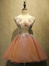  Embroidery Dress for Prom Rust Red Lace Up Sleeveless Mini Length