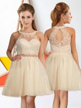 Chic Sleeveless Lace Zipper Quinceanera Court of Honor Dress