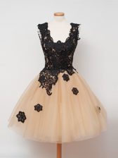 Suitable Sleeveless Zipper Knee Length Lace Damas Dress