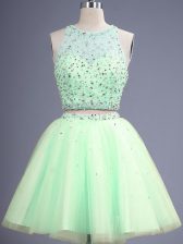 Cheap Scoop Sleeveless Lace Up Quinceanera Court of Honor Dress Yellow Green Tulle