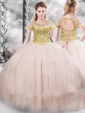 Delicate Floor Length Pink Quinceanera Gown Scoop Short Sleeves Lace Up
