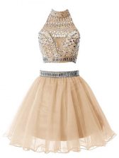  High-neck Sleeveless Zipper Court Dresses for Sweet 16 Champagne Organza