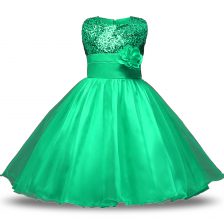  Knee Length Ball Gowns Sleeveless Turquoise Flower Girl Dress Zipper