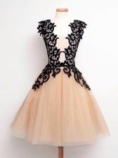 Delicate Knee Length Champagne Damas Dress Straps Sleeveless Lace Up