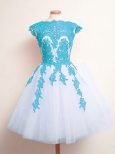  Blue And White Sleeveless Appliques Knee Length Dama Dress