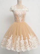  Knee Length A-line Cap Sleeves Champagne Quinceanera Dama Dress Zipper