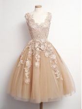 Elegant Brown Lace Up Vestidos de Damas Appliques Sleeveless Knee Length