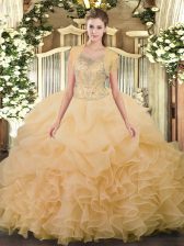 Dramatic Floor Length Ball Gowns Sleeveless Champagne 15 Quinceanera Dress Clasp Handle