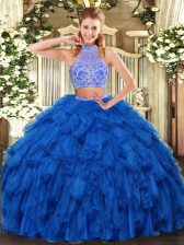  Organza Sleeveless Floor Length 15th Birthday Dress and Beading and Ruffles