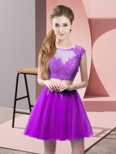  Mini Length Eggplant Purple Prom Party Dress Tulle Sleeveless Appliques