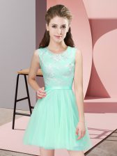 Chic Scoop Sleeveless Tulle Quinceanera Court of Honor Dress Lace Side Zipper