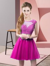  Fuchsia Tulle Zipper Prom Gown Sleeveless Mini Length Appliques