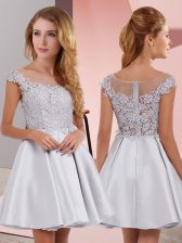  Silver Scoop Neckline Lace Quinceanera Dama Dress Sleeveless Zipper