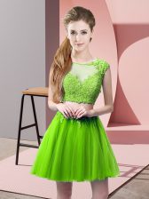 Traditional Two Pieces Tulle Scoop Sleeveless Appliques Mini Length Zipper 
