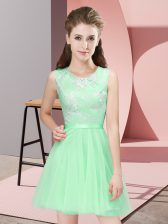 Scoop Sleeveless Side Zipper Quinceanera Dama Dress Apple Green Tulle