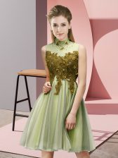 Chic High-neck Sleeveless Tulle Quinceanera Court of Honor Dress Appliques Lace Up