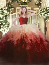  Ruffles Quinceanera Dresses Multi-color Zipper Sleeveless Floor Length