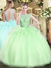  Ball Gowns Lace Quince Ball Gowns Backless Organza Sleeveless Floor Length