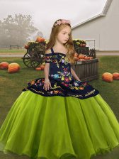Discount Olive Green Organza Lace Up Little Girls Pageant Dress Wholesale Sleeveless Floor Length Embroidery