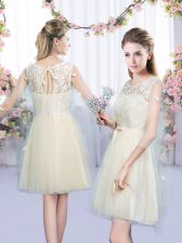 Captivating Sleeveless Mini Length Lace and Bowknot Lace Up Quinceanera Court of Honor Dress with Champagne