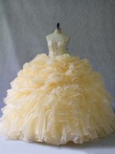 Organza Sleeveless Floor Length Vestidos de Quinceanera and Beading and Ruffles and Pick Ups