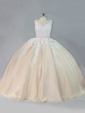 Sexy Champagne Ball Gowns Appliques Quince Ball Gowns Zipper Tulle Sleeveless