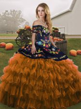 Classical Rust Red Sleeveless Embroidery and Ruffled Layers Floor Length Quinceanera Dress