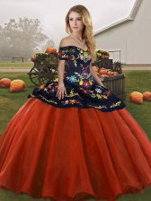 Simple Sleeveless Embroidery Lace Up Sweet 16 Dresses