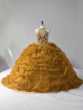 Dazzling Organza Sleeveless Quinceanera Dress and Beading
