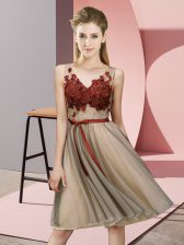  Champagne Tulle Lace Up V-neck Sleeveless Knee Length Damas Dress Appliques